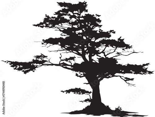 Enchanted Haunted Cypress Tree For Mystical Designs