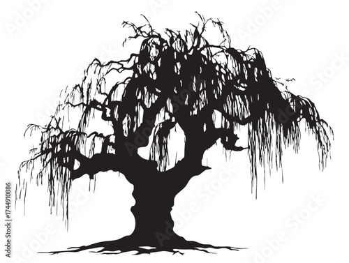 Ethereal Haunted Willow Tree And Root System Vector