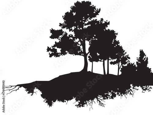 Beautiful Cluster Of Hillside Trees With Roots