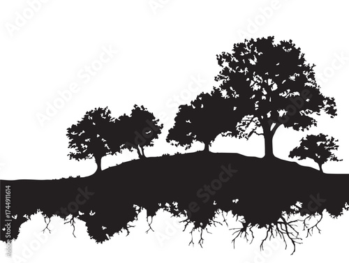 Lush Hillside Trees With Spreading Roots Vector