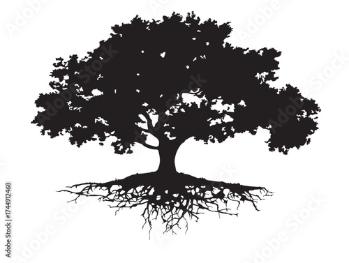 Elegant Hilltop Elm Tree Solid Black Illustration
