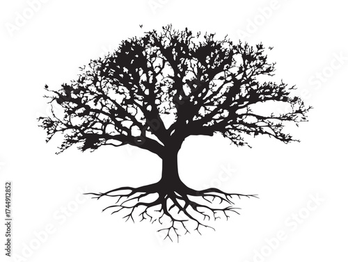 Enchanting Hollow Tree And Root System Vector Art