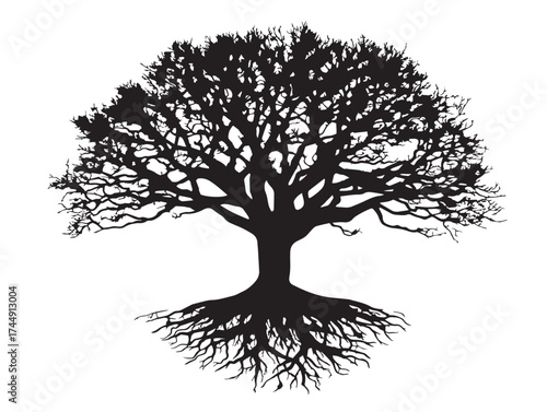 Ancient Hollow Tree With Gnarled Roots Illustration