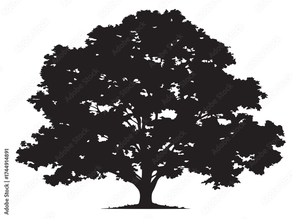 Fototapeta premium Vibrant Isolated Maple Tree Solid Black Silhouette