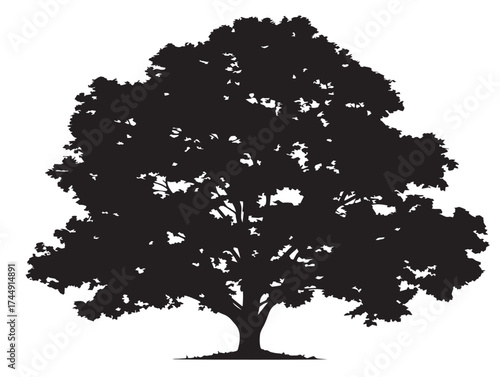 Vibrant Isolated Maple Tree Solid Black Silhouette