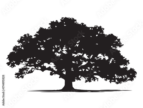 Majestic Lone Oak Tree With Sprawling Branches