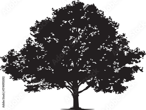 Ornate Isolated Maple Tree On A Clean Background