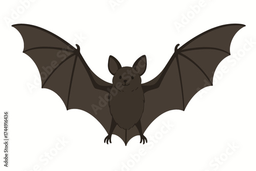 Illustration of a flying bat with outstretched wings on white background