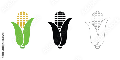 Vector corn set on white background