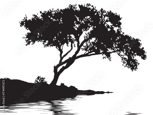 Beautiful Lone Tree On The Shore Of A Lake