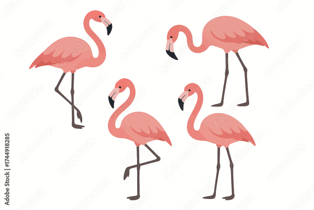 Fototapeta premium Four stylized pink flamingos on white background