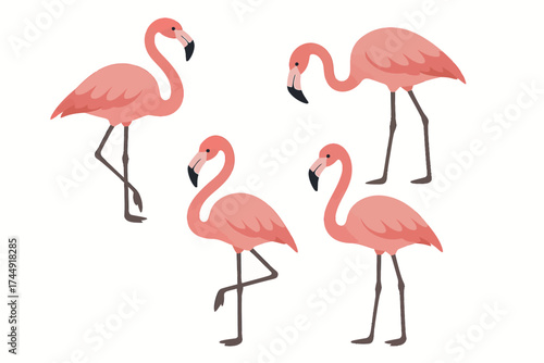 Four stylized pink flamingos on white background