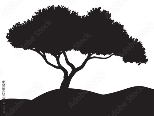 Lonely Desert Tree Silhouette Standing Proud In Vast Sand