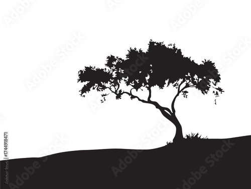 Strong Tree Silhouette Amid Desert Dunes Under Orange Glow