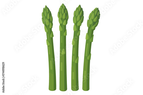 Four fresh green asparagus spears on white background