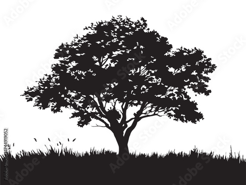 Quiet Meadow Tree Silhouette Symbolizing Solitude And Calmness