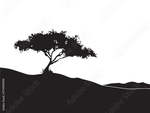 Desert Tree Silhouette Showing Beauty Of Harsh Wilderness Scene