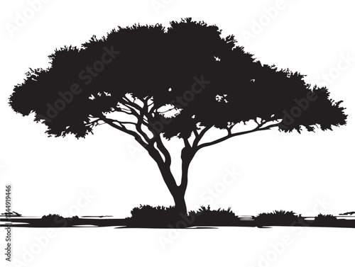 Isolated Desert Tree Silhouette Representing Peace And Solitude