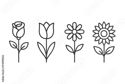 Minimalist floral line art: rose, tulip, daisy, sunflower outlines