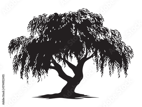 Graceful Willow Tree Silhouette for Elegant Vector Design