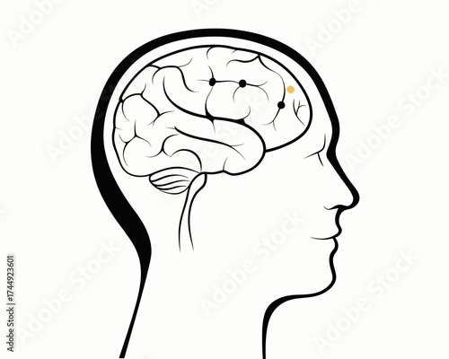 Illustration of a human head in profile with visible brain and highlighted area showing brain activity | editable eps vectors silhouette