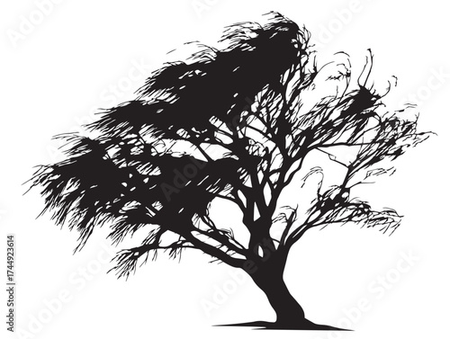 Beautiful Willow Tree Silhouette with Flowing Branches Artwork