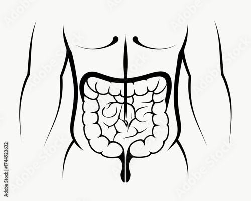 Illustration showing the human torso and digestive system in a minimalist black and white drawing | editable eps vectors silhouette