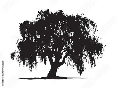 Elegant Willow Tree Silhouette Black Nature Artwork Design