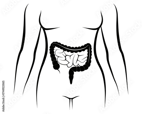 Illustration of a human torso with visible intestines in black and white line art style drawing design | editable eps vectors silhouette