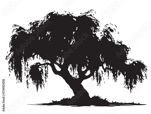 Artistic Willow Tree Silhouette Graceful Vector Illustration