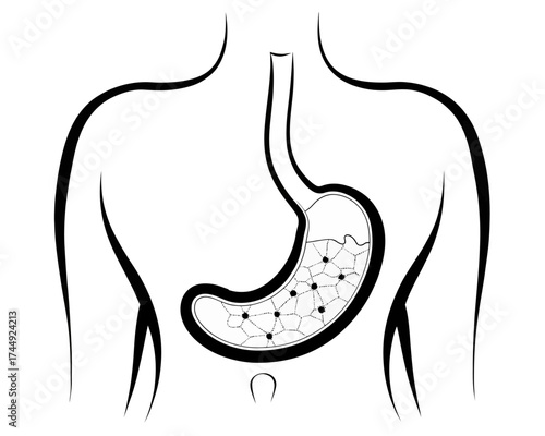 Illustration of a human torso with the stomach visible showing internal structure and contents inside it | editable eps vectors silhouette