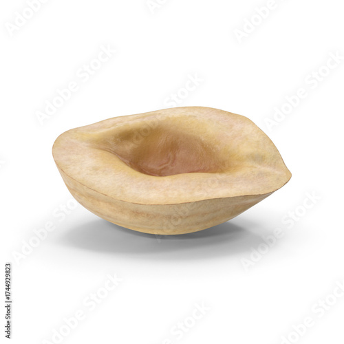 Single half empty hazelnut closeup showing natural texture and detail