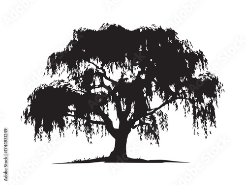Large Willow Tree Silhouette Beautiful Black Artwork Scene