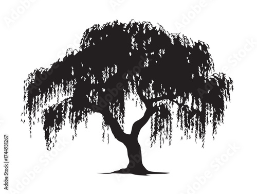 Graceful Willow Tree Silhouette Large Elegant Vector Design