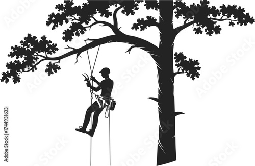 Tree climbing silhouette, arborist working, safety harness, rope access, forest maintenance, outdoor adventure, helmet gear, professional climber, nature job, suspended worker