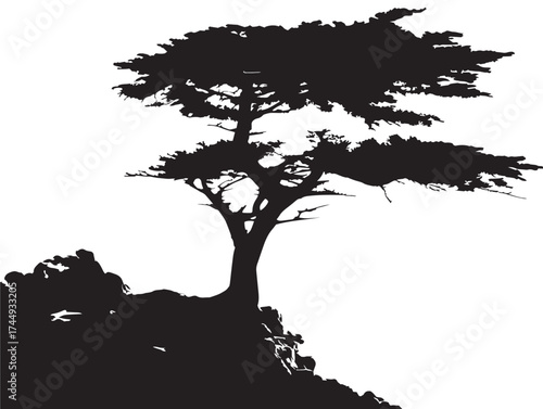 Elegant Cypress Tree Silhouette Serene Scenic Vector Artwork