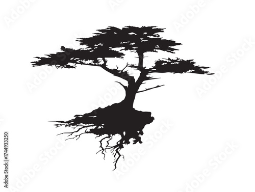 Elegant Cypress Tree with Roots Black Vector Illustration