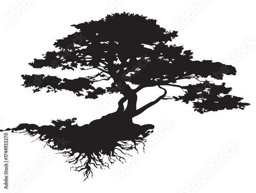 Majestic Cypress Tree with Roots Silhouette Nature Artwork
