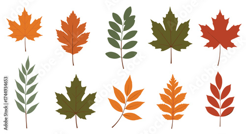 Collection of ten illustrative autumn leaves in various colors and shapes.