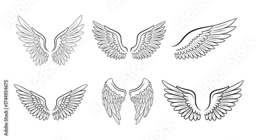 A collection of six different stylized angel wing designs.