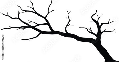  a dry branch of a dead tree against silhouette vector
