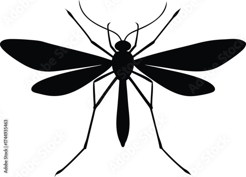 a large insect, resembling a crane flyblack silhouette vector