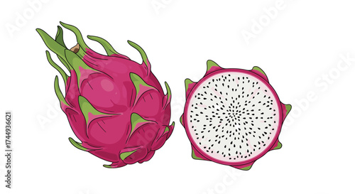 An illustration of a whole dragon fruit and a sliced dragon fruit.