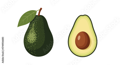 Fresh avocado fruit with a leaf on a white background.