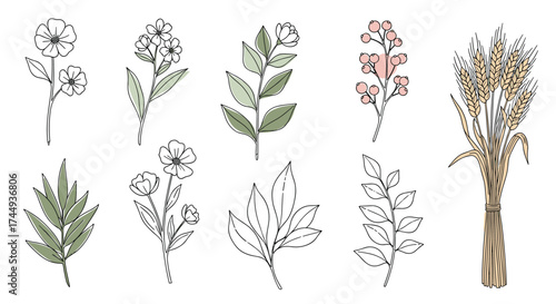 A collection of hand drawn botanical elements and one leopard print stalk.