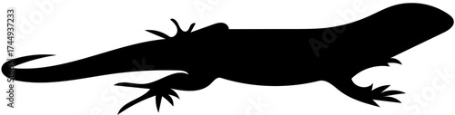 Isolated Monitor Lizard Black Silhouette Vector Icon