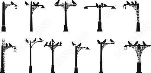 Silhouette street lamps with perched birds, decorative vintage lamp post designs, urban lighting illustration, classic architecture artwork, nature and city harmony