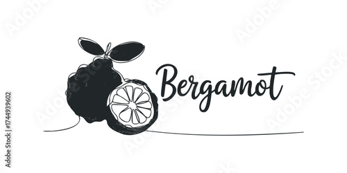 Line art bergamot fruit with leaves and text
