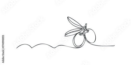 Continuous line drawing of olive branch with fruit