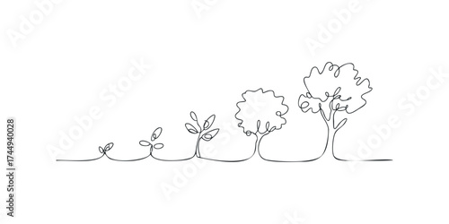 Continuous line drawing of plant growth stages